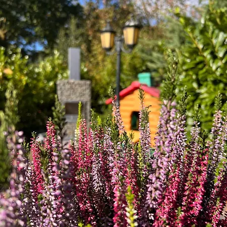 Appartamento Kip En Hei Schijf